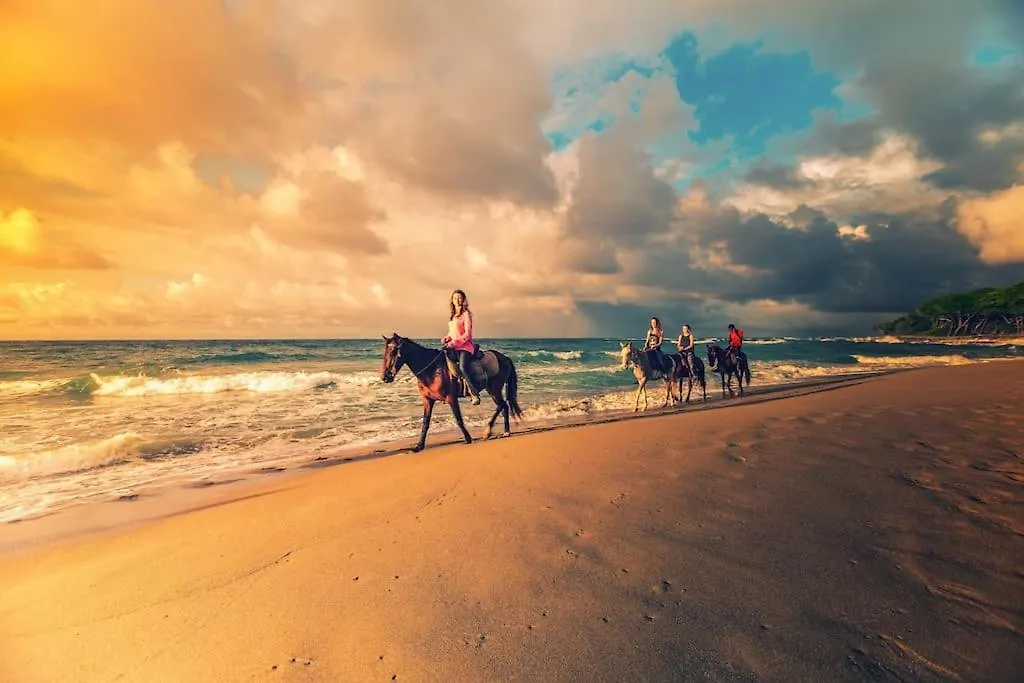 Kite Beach Hotel Oceanfront Apartments كاباريتي